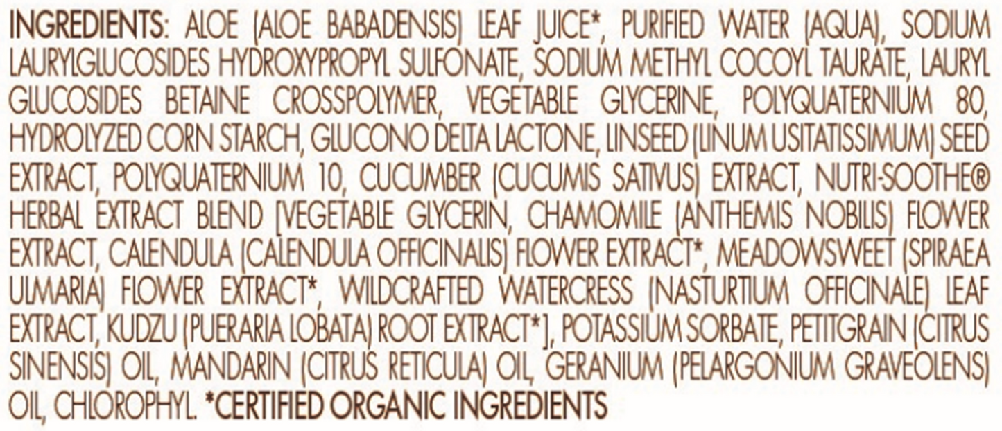 Babo Botanicals Swim & Sport Shampoo & Wash